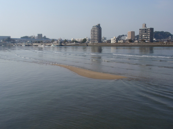 http://6rivers.life.coocan.jp/spots/2015/01/01/kamome04.jpg