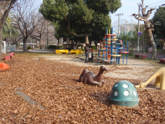 http://6rivers.life.coocan.jp/spots/2015/01/01/yosijimapark12.jpg