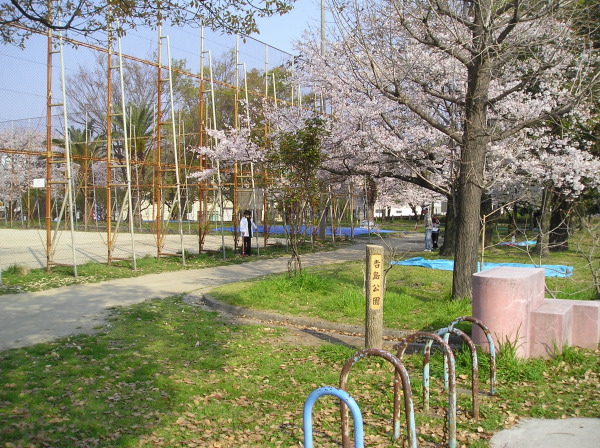 http://6rivers.life.coocan.jp/spots/2015/01/01/yosijimapark15.jpg