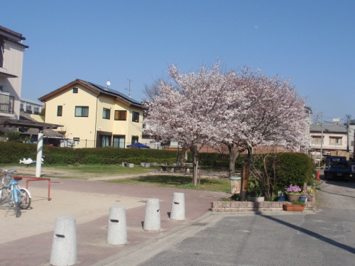 http://6rivers.life.coocan.jp/spots/2015/03/31/image/nisi2.jpg