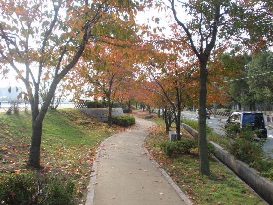 http://6rivers.life.coocan.jp/spots/2015/03/31/image/sakuramiti06.jpg