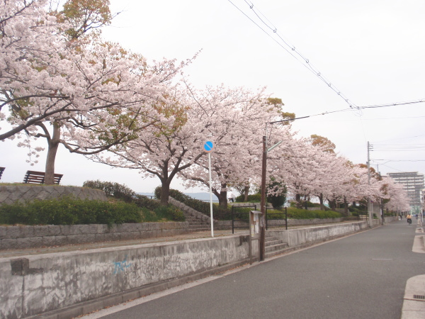 http://6rivers.life.coocan.jp/spots/2015/04/27/honkaryu03.jpg