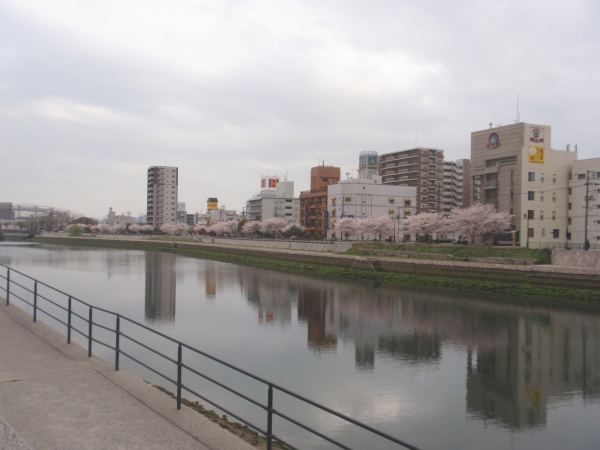 http://6rivers.life.coocan.jp/spots/2015/04/27/moto204.jpg