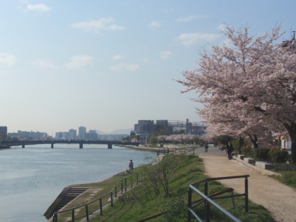 http://6rivers.life.coocan.jp/spots/2015/04/27/moto205.jpg