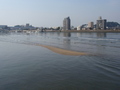 kamome04.jpg
