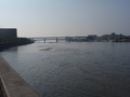 kamome05.jpg