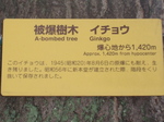 ityou03.jpg